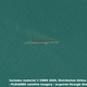 A 50cm resolution image of an Iranian target barge mocked up as a U.S. aircraft carrier capsized outside port at Bandar Abbas, released August 2020.